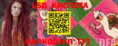 дурь Заводоуковск