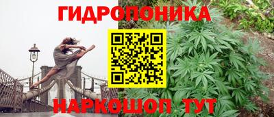 скорость Жуковский